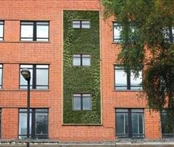 117 Waterloo Road, 1st, 3rd Floors, Mercury House