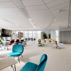 Villeurbanne serviced office