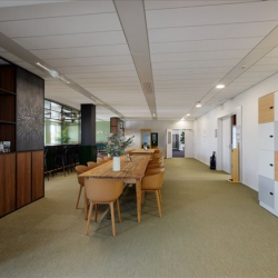 Serviced office centres to let in Villeurbanne