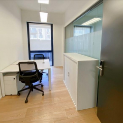 Executive office centres to let in Milan