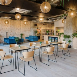 Berlin serviced office