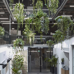 LABS Atrium, Chalk Farm Road, The Stables Market