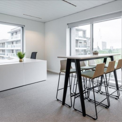 Office suites to hire in Antwerp