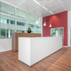 Office suite to let in Antwerp