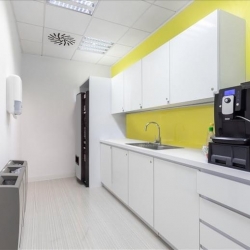 Executive offices to let in Prague