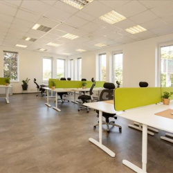 Serviced office centres to lease in Prague